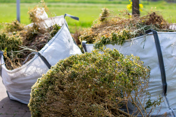 Best Furniture Removal Near Me  in Milford, IA